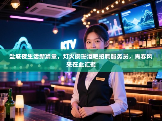 盐城夜生活新篇章，灯火阑珊酒吧招聘服务员，青春风采在此汇聚