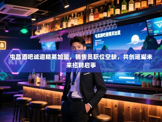 屯昌酒吧诚邀精英加盟，销售员职位空缺，共创璀璨未来招聘启事