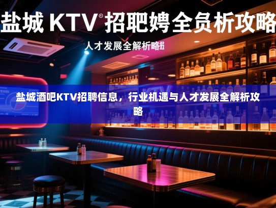 盐城酒吧KTV招聘信息，行业机遇与人才发展全解析攻略