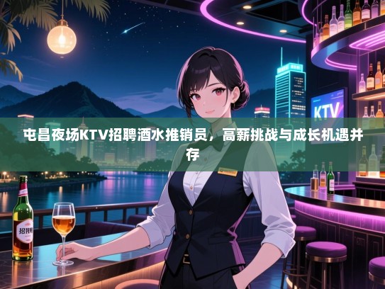 屯昌夜场KTV招聘酒水推销员，高薪挑战与成长机遇并存